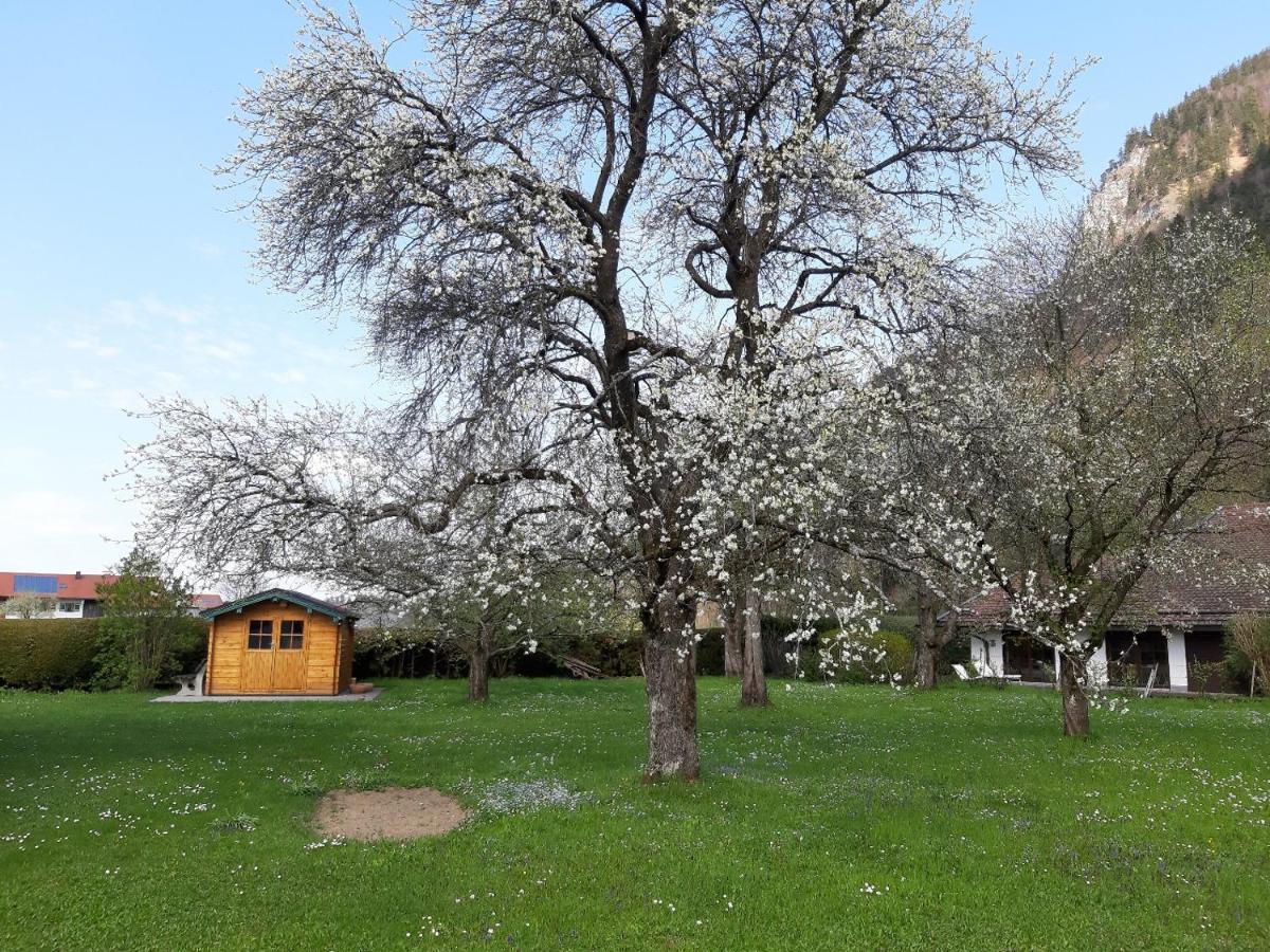 Apartament Haus Polleichtner Marquartstein Zewnętrze zdjęcie